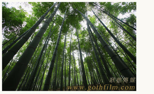 東京学芸大学 Diploma in Environmental Science